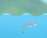 kaland - Dolphin olympics 2